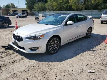  Salvage Kia Cadenza