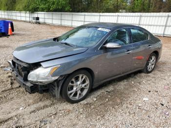  Salvage Nissan Maxima
