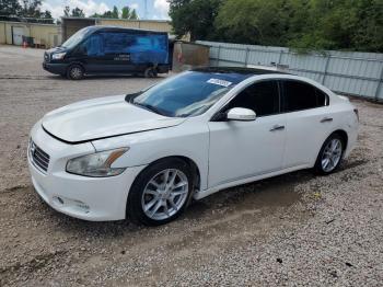  Salvage Nissan Maxima