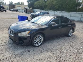  Salvage Nissan Maxima