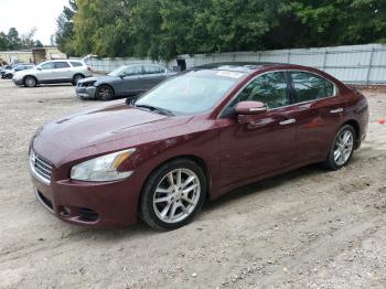  Salvage Nissan Maxima