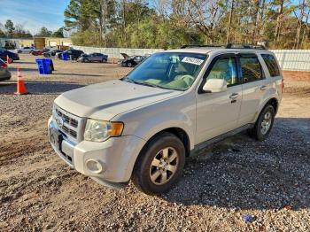  Salvage Ford Escape
