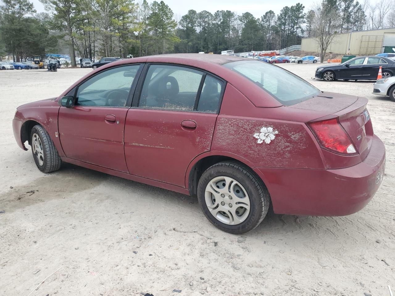 Saturn Ion Level 2 Image 2