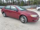 Saturn Ion Level 2 Image 4