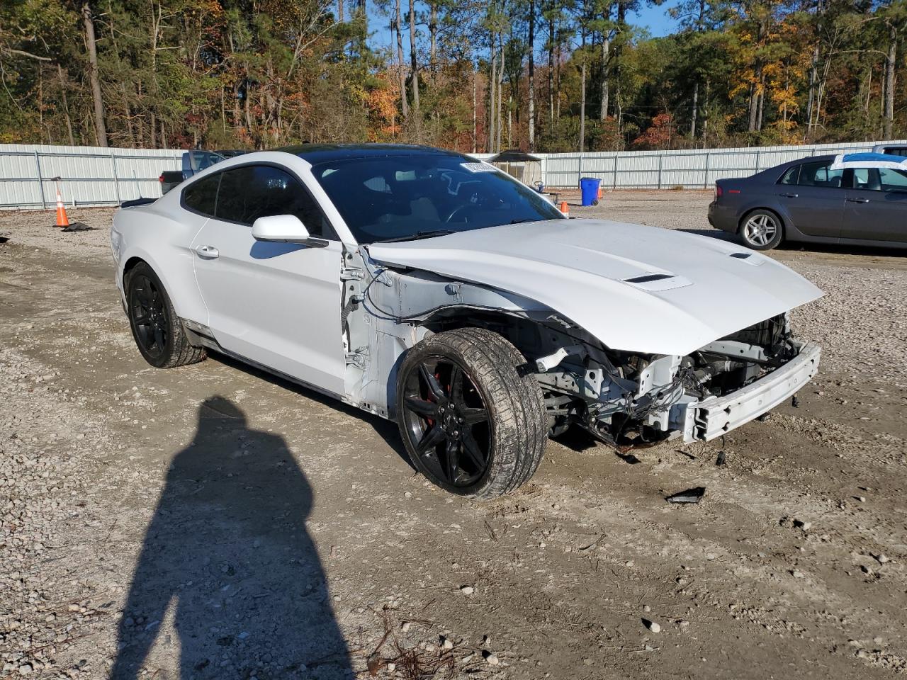 Ford Mustang Gt Image 11