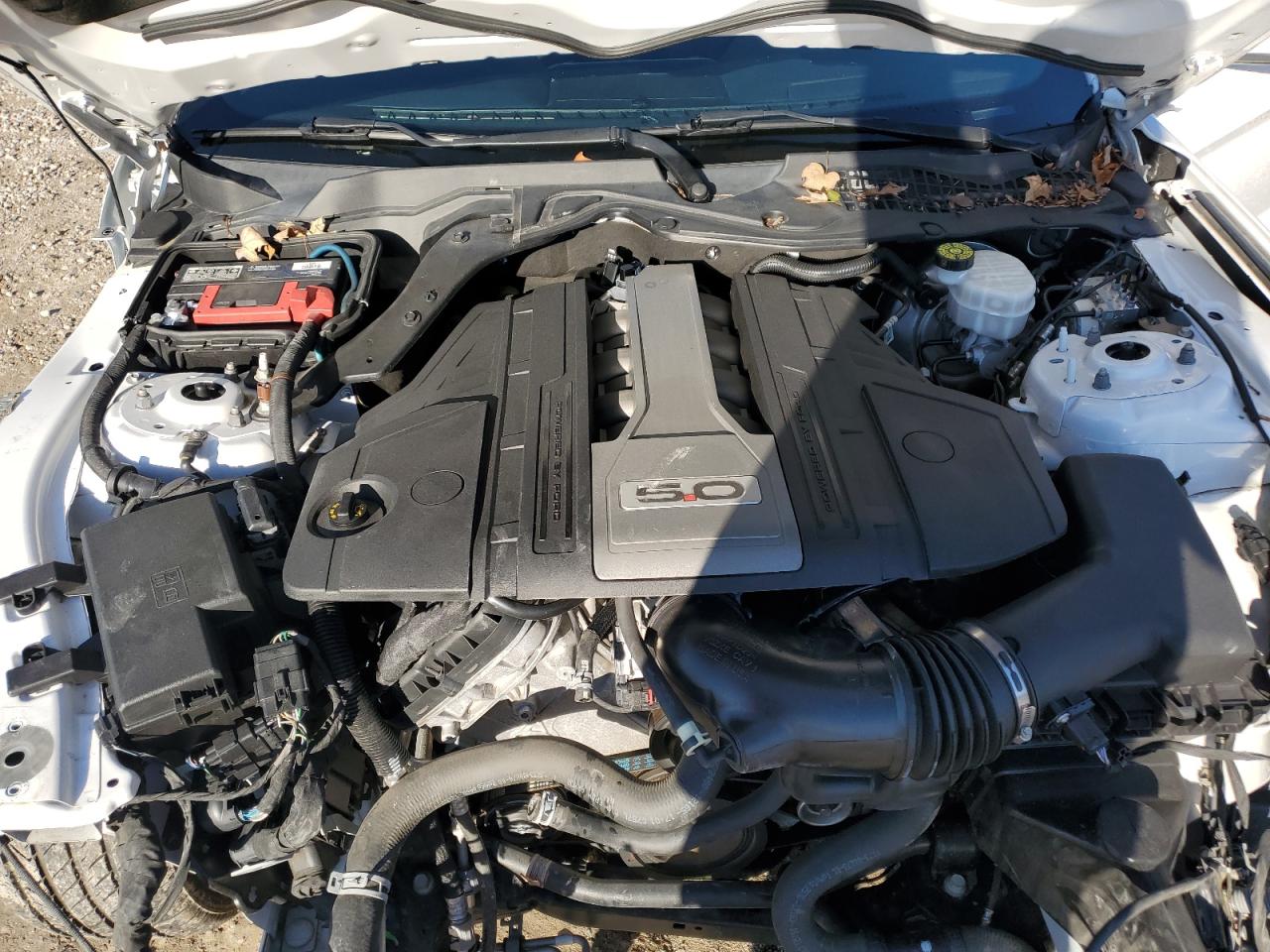 Ford Mustang Gt Image 12