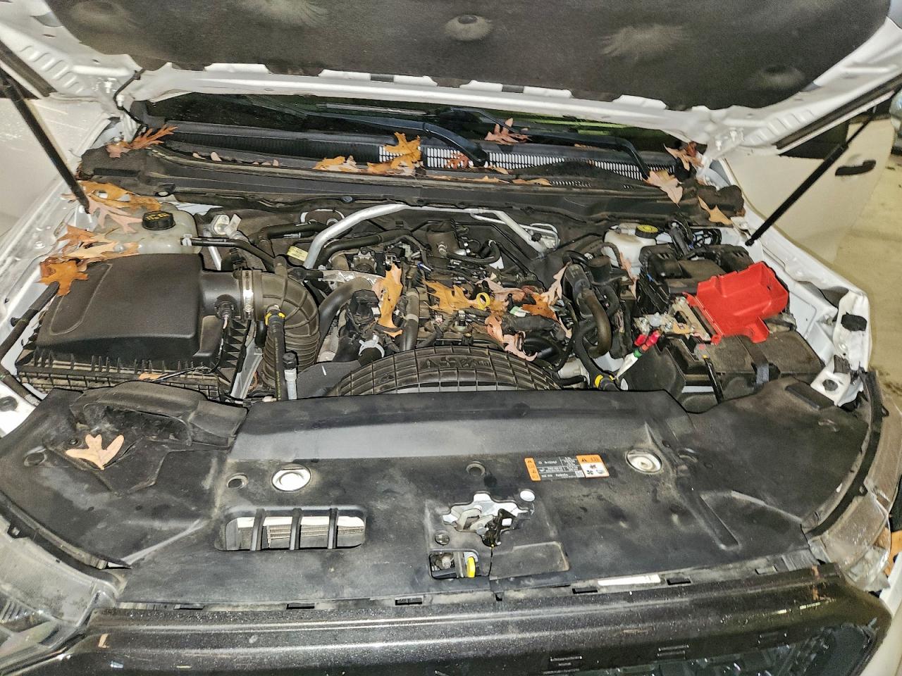 Ford Ranger Xl Image 3