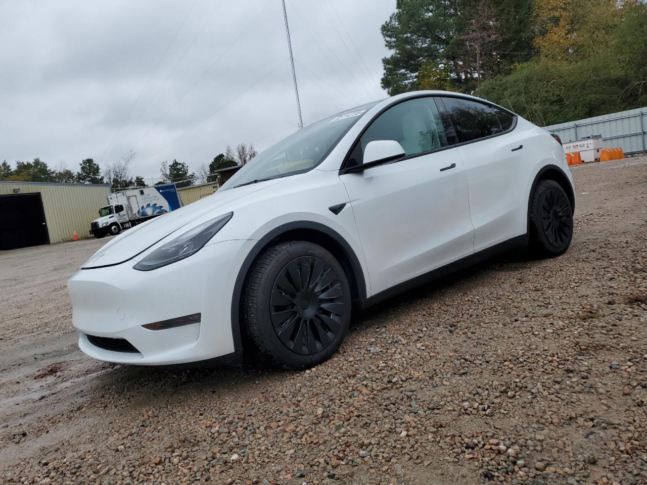 Tesla Model Y Image 1
