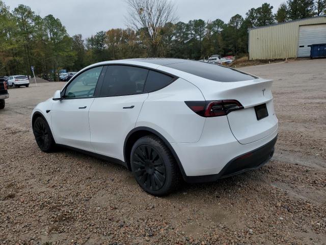 Tesla Model Y Image 6