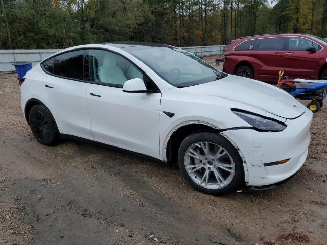 Tesla Model Y Image 10
