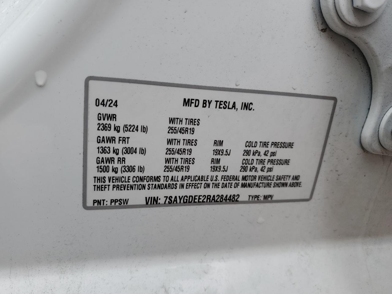 Tesla Model Y Image 3