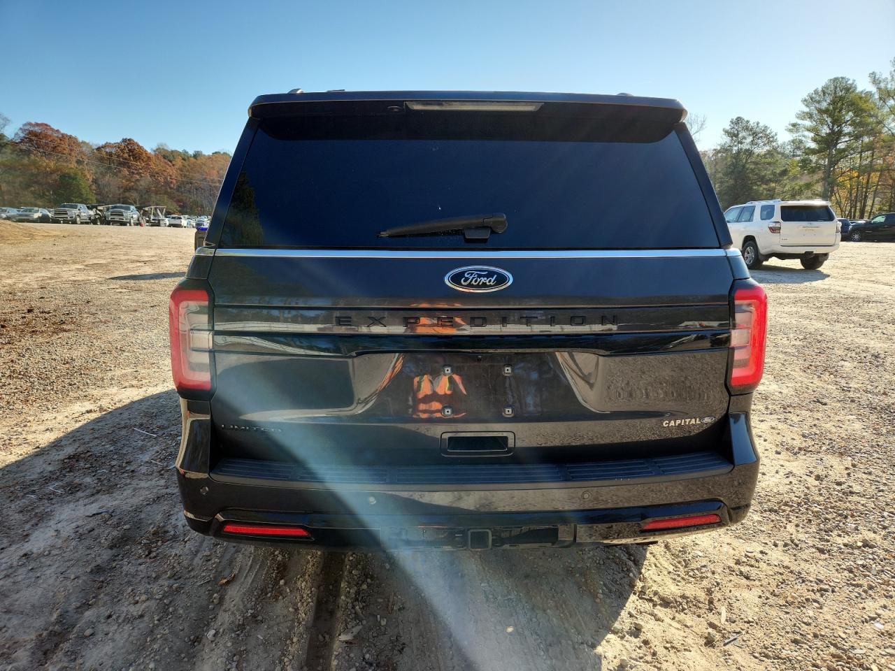 Ford Expedition Limited Image 13