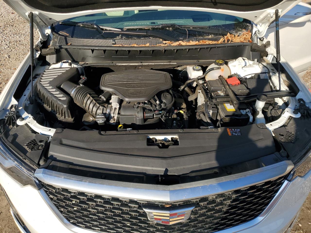 Cadillac XT6 Premium Luxury Image 10