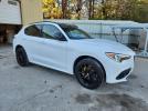 Alfa Romeo Stelvio Ti Image 12