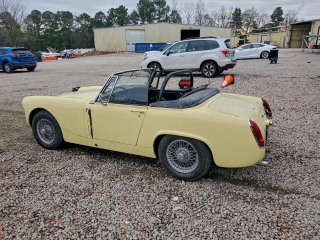 Austin Healy Image 4