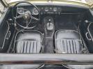 Austin Healy Image 10