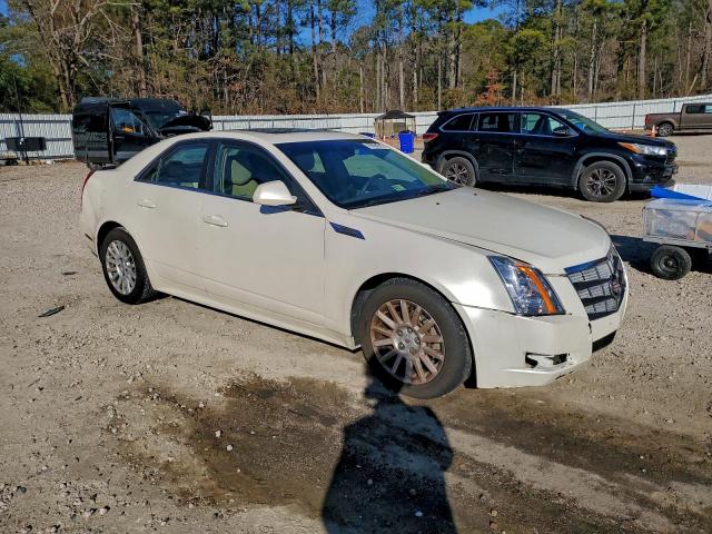 Cadillac CTS Luxury Collection Image 10