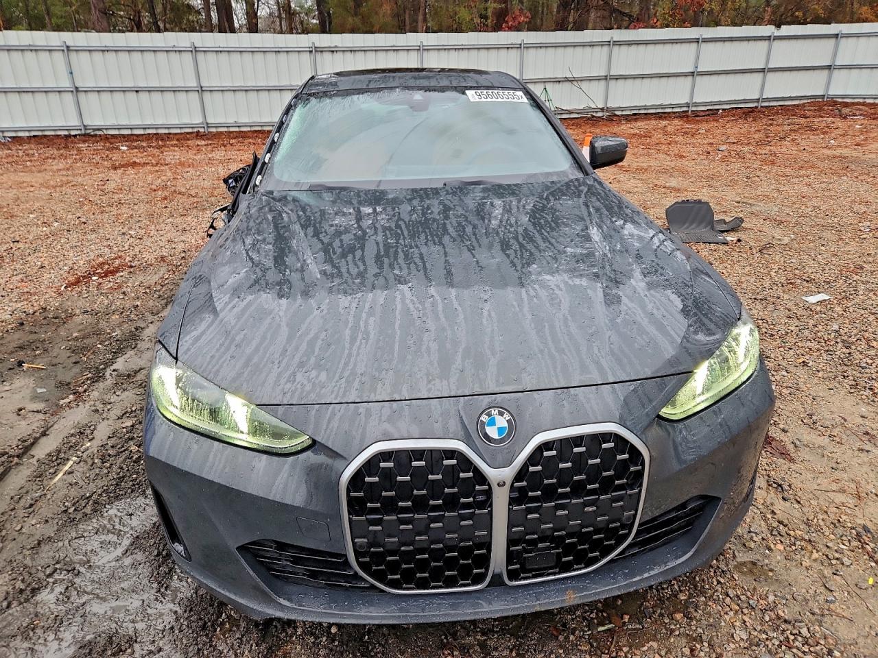 BMW 4 Series Gran Coupe Image 2