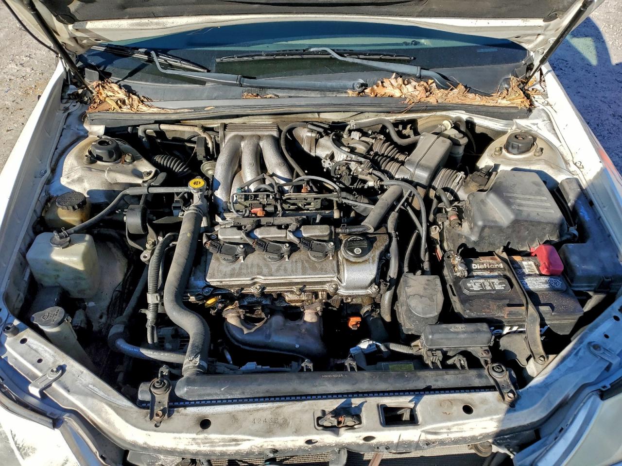 Toyota Avalon Xl Image 10