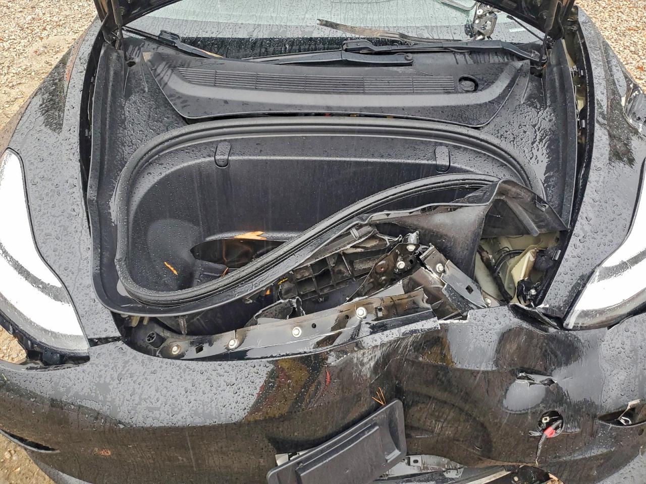 Tesla Model 3 Image 10