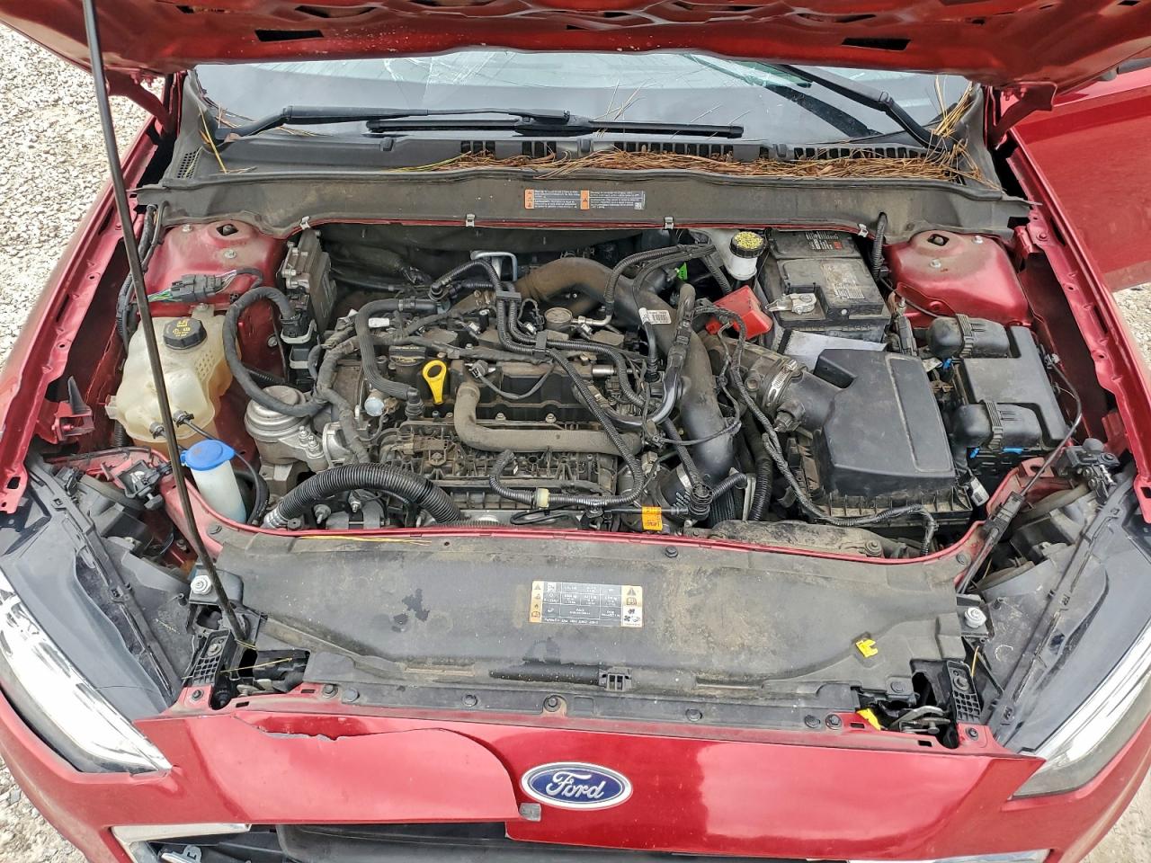 Ford Fusion Se Image 10